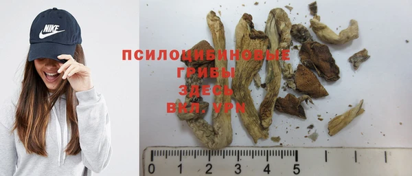 бошки Медвежьегорск