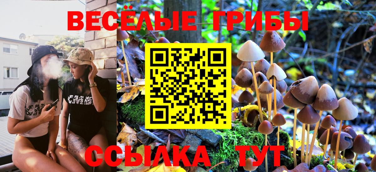Галлюциногенные грибы мухоморы  Вход с VPN  как найти   Тобольск 